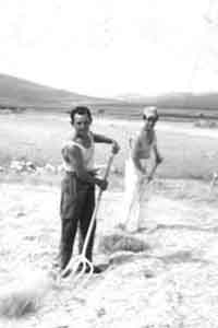 Hermanos en la era. Mainar