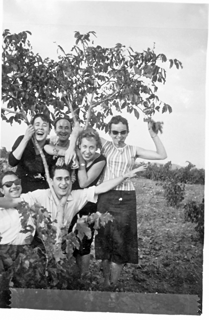 Cogiendo cerezas. Calamocha