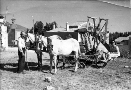 CesÃ¡reo y Emilia Yuste trabajando en el campo. Cella.