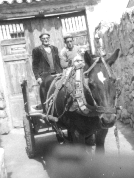 Francisco y Restituto Bronchal sobre un carro. Cella.