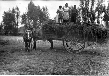 Trabajadores del campo sobre un carro. Cella.