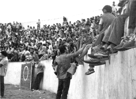 En la plaza de toros en fiestas. Cella