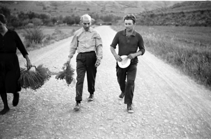 Mujer y hombres recogiendo aromÃ¡ticas. Lechago