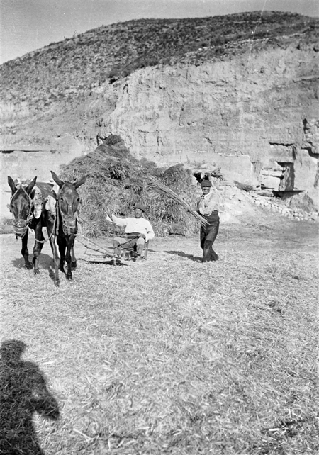 Hombres trabajando en el campo. Navarrete