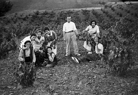 Recogiendo uvas. Navarrete