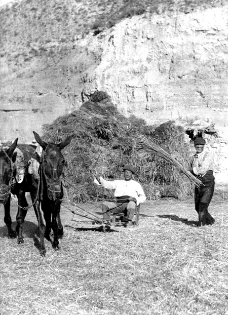 Escena de la trilla. Navarrete