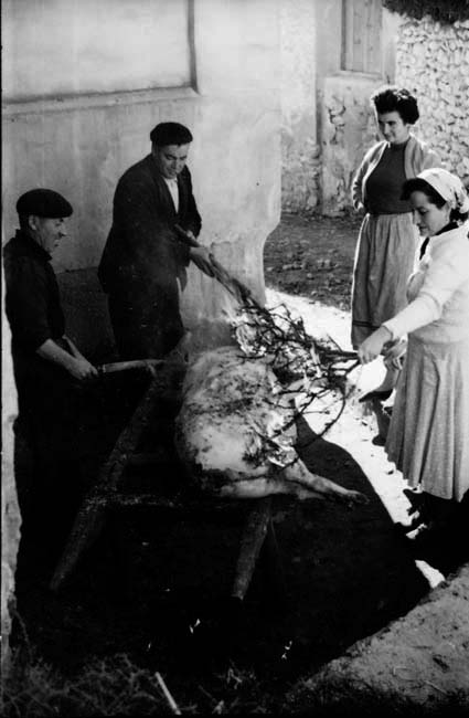 MatacÃ­a en Olalla