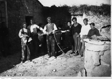 Preparando los bueyes. Torralba de los Sisones
