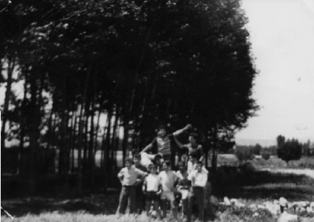 Amigos en la chopera. Torremocha.