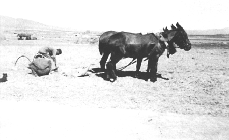 Juan Francisco MuÃ±oz revisando el trillo. Langa del Castillo.