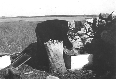 Gregorio QuÃ­lez con las colmenas. Langa del Castillo.