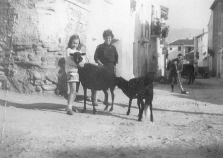 Vecinos y animales por las calles de Morata de Jiloca.
