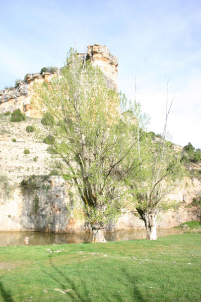 Archivo:Torralba Frailes Hoces(13).jpg