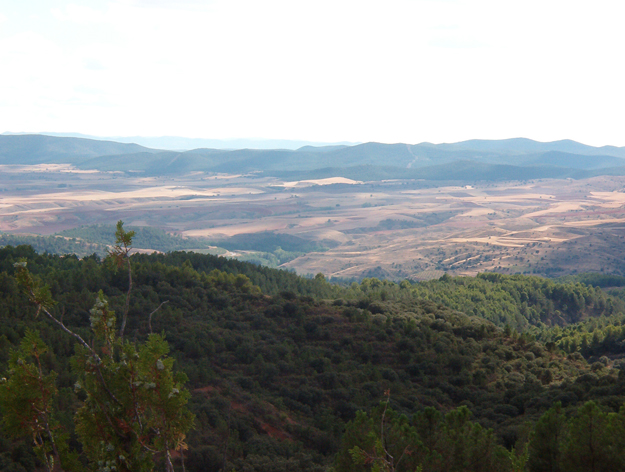 Archivo:Pinarluco02.jpg