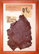 Archivo:Minas y derviches.jpg