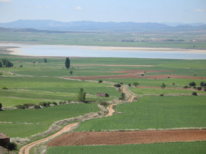 Archivo:Lagunagallocanta.jpg