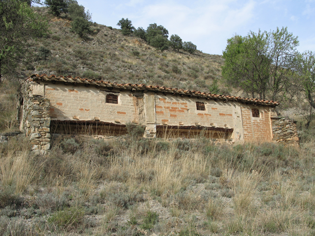 Archivo:Abejarluco1.jpg