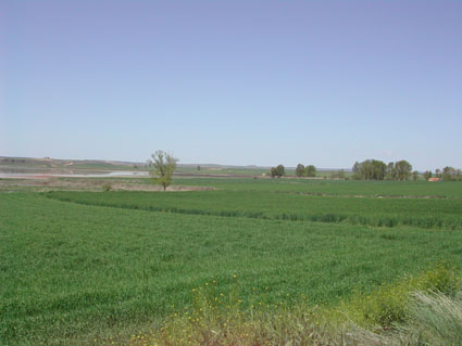 Archivo:LaIsilla.jpg