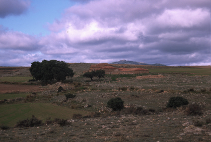 Archivo:44493-1-943-1.jpg