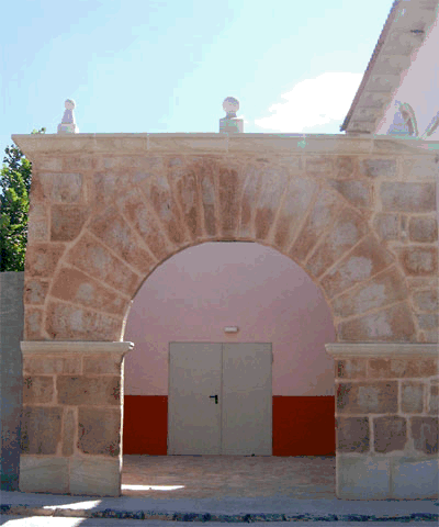 Archivo:Arcopalata.gif