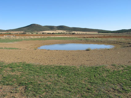 Archivo:Balsasmontesgallocanta.jpg