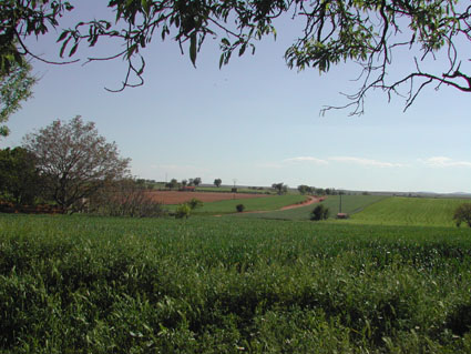 Archivo:VillaromanaRomanos.jpg