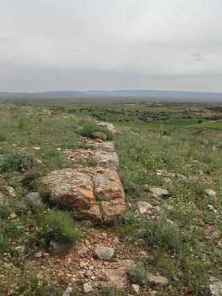 Archivo:DSCN4454.jpg