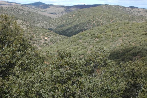 Archivo:Barrancotenajos.jpg