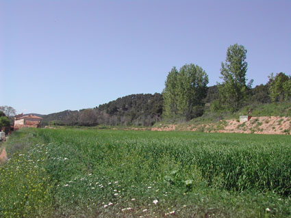 Archivo:DSC4357.jpg