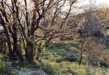 Archivo:Sierrafonfria.jpg