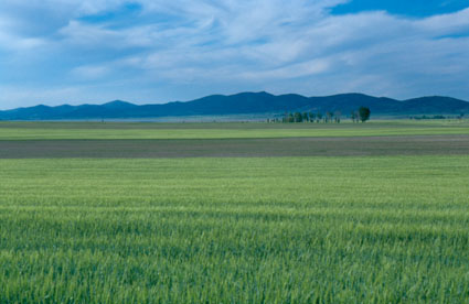 Archivo:Montesgallocanta.jpg