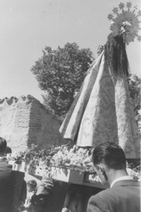 Archivo:Virgendelavalvanera1.png