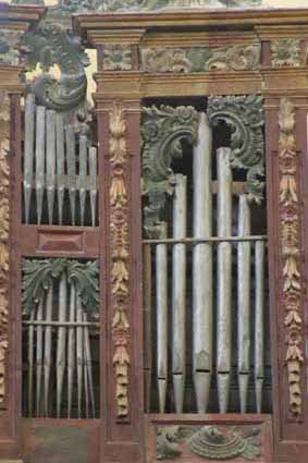 Archivo:Organoodon.jpg