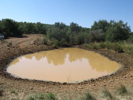 Archivo:Balsarubializablancas.jpg