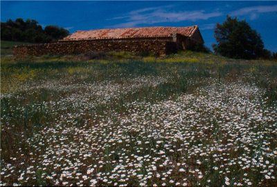 Archivo:Badenas12.jpg