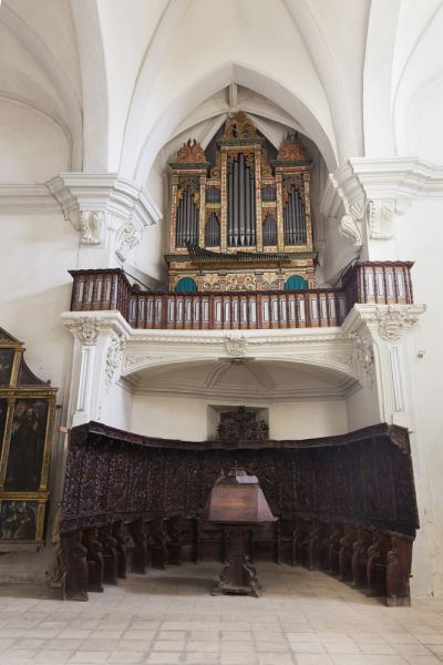 Archivo:CoraSantoDomingo.jpg