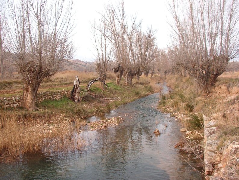 Archivo:Ríopancrudo.jpg