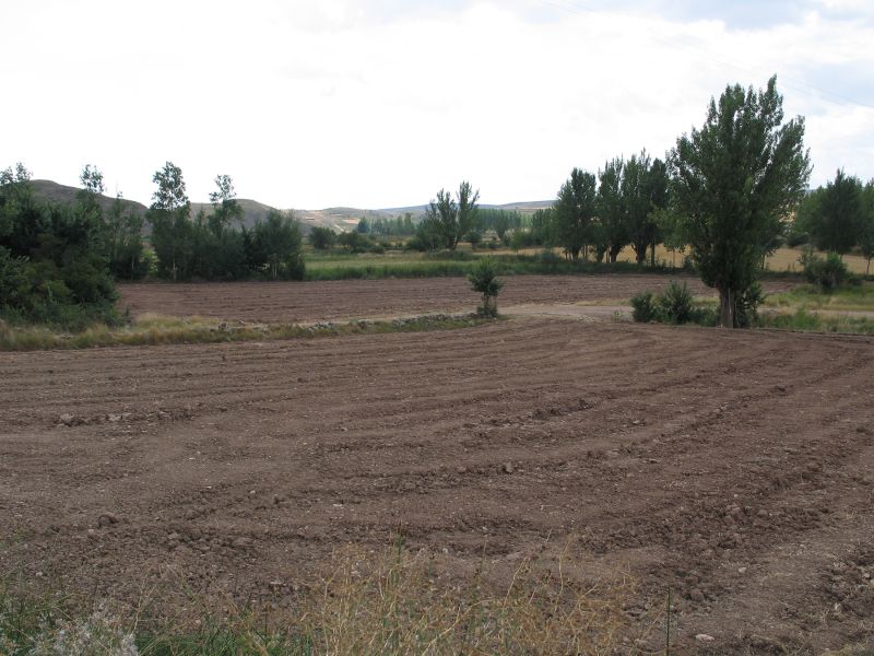Archivo:PradoAlpeñes.jpg