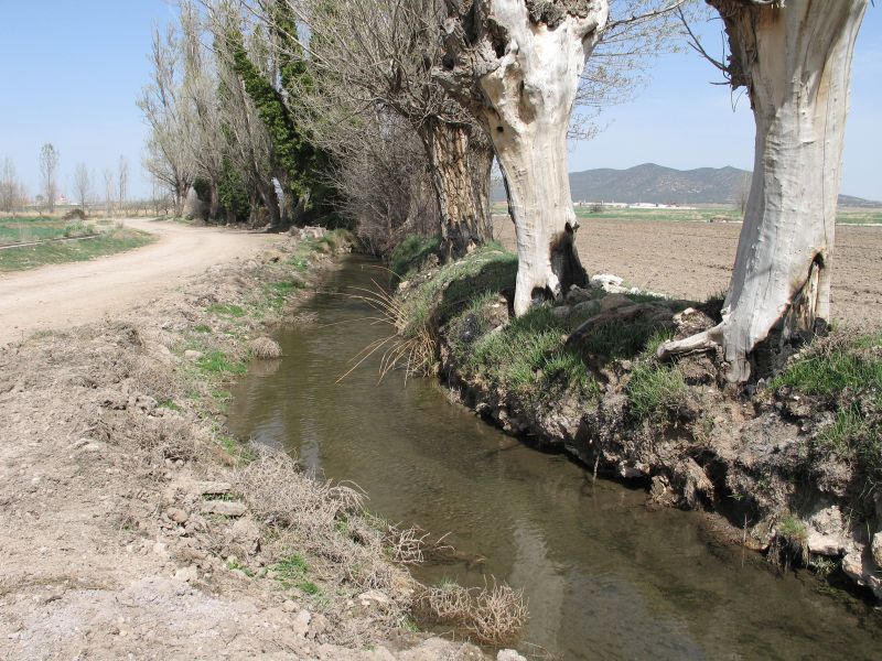 Archivo:Acequia Rifa.jpg