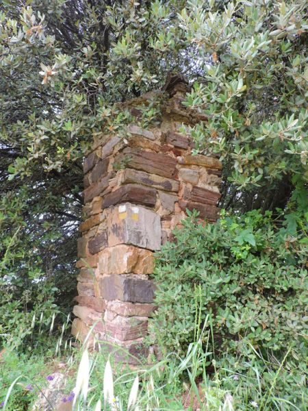 Archivo:PeironCarrasco.jpg