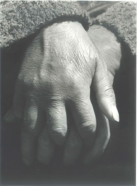 Archivo:Singra fotografía.jpg