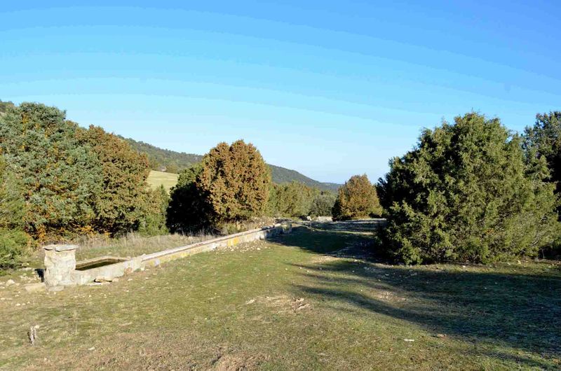 Archivo:Sabinarrubielos.jpg