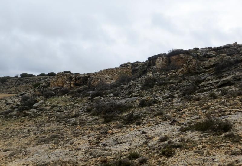 Archivo:Abejarblancas01.jpg